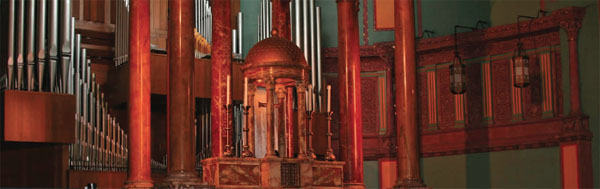 120525_MakingDrChesky_photo_Organ.jpg